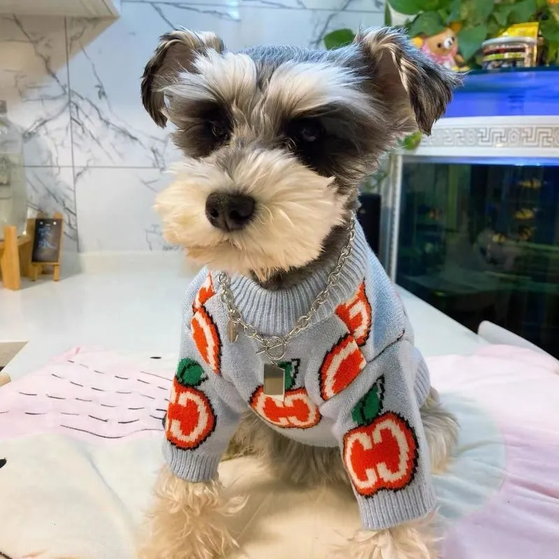 レターセーター ペット犬服 コットン スウェットシャツ 犬服 - Winter Clothing For Toddlers のレビューと価格