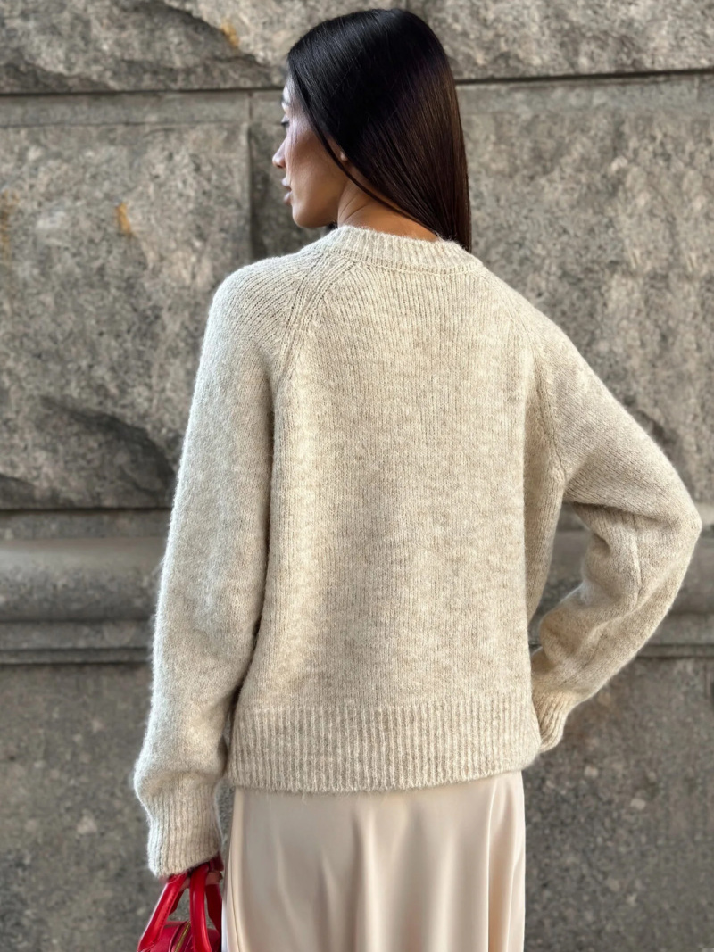 DGLUKE クルーネックニットカーディガン女性のための長袖 - Winter Clothing Zara のレビューと価格